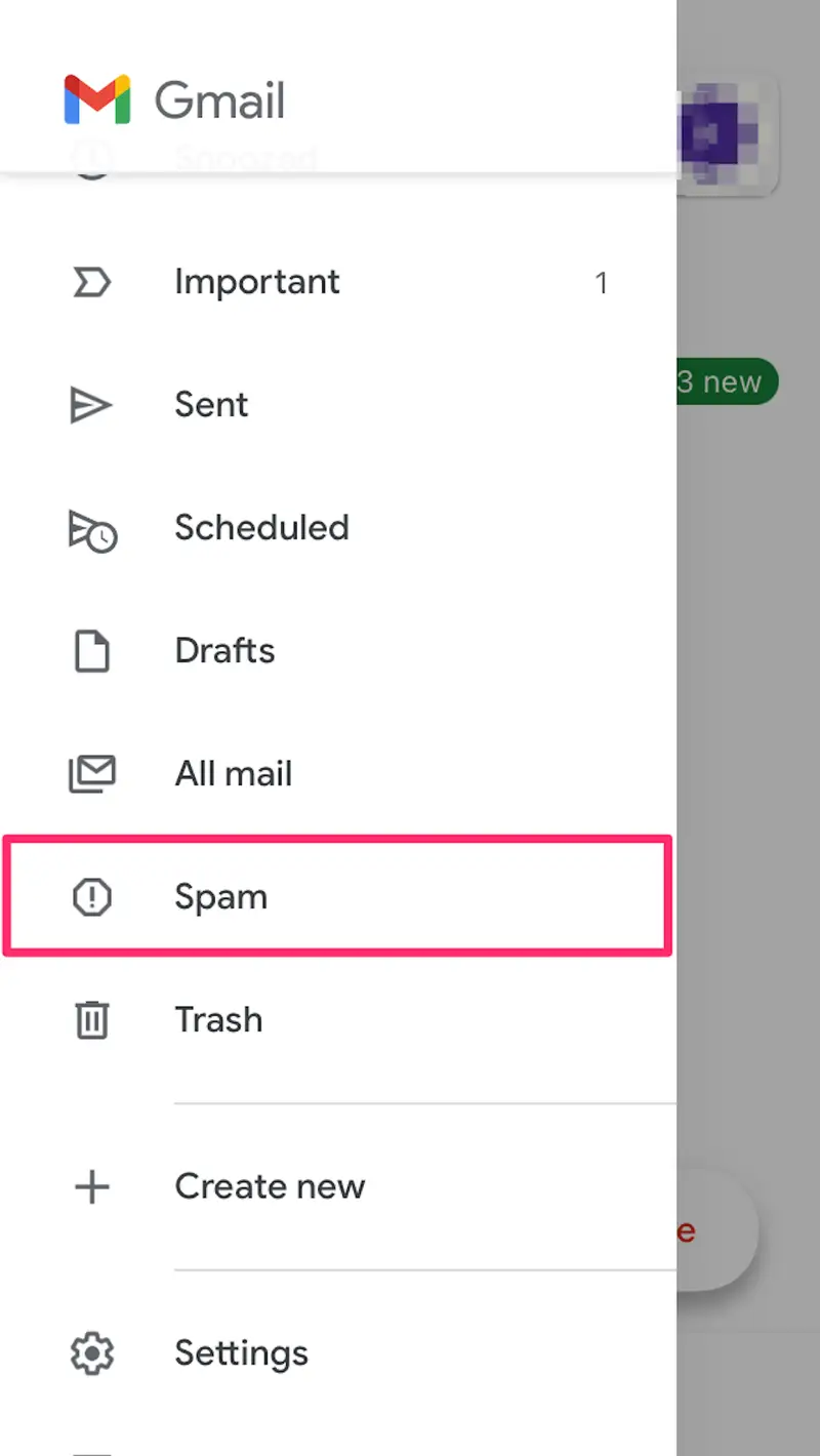 Spam Folder Preview